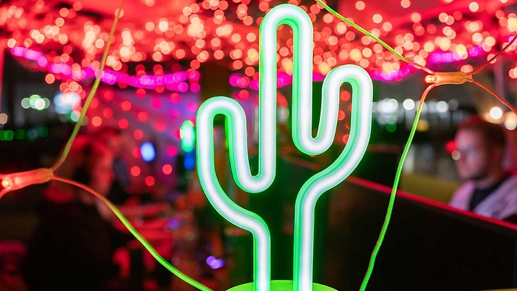 Ein leuchtender grüner Kaktus - das Symbol des neuen Gamer-Events CAGGTUS Leipzig